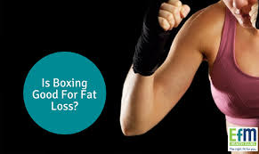 is boxing good for fat loss efm
