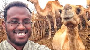 Dhaqashada Geela Ganacsiga Hargeisa