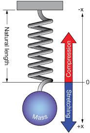 Hooke S Law