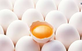 Maybe you would like to learn more about one of these? Berapa Banyak Telur Seekor Ayam Setiap Hari Berapa Kerap Ayam Betina Setiap Tahun Boleh Dan Dilakukan Berkali Kali