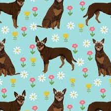 We did not find results for: Australian Kelpie Dog Fabric Red And Tan Spoonflower