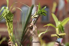 13 palm sunday bible famous sayings, quotes and quotation. Palm Sunday 2017 25 Best Quotes Sayings Bible Verses And Wishes To Mark Palm Sunday Holy Thursday Good Friday Easter Sunday Ibtimes India