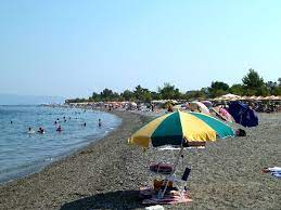 Check spelling or type a new query. Paralia Peyki Boreia Eyboia