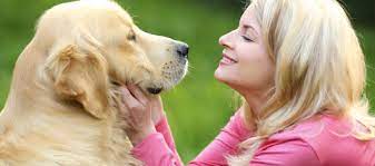 We understand how important your companion is to you — because they're there for you through the thick and thin of our new port richey veterinarians & aaha accredited hospital have served the community since 1982. All Pets Veterinary Hospital Darwin