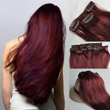 Some people have undertones in their hair with a copper tinge in them and that could be anything from brown to an orange hue in animals it causes black hair to turn brown. 99j Red Burgundy Hair7pcs Clip In Real Human Hair Extensions 16 28 Black Brown Ebay