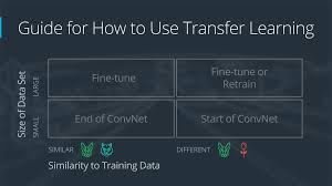 Transfer Learning – ACE IT SKILLS