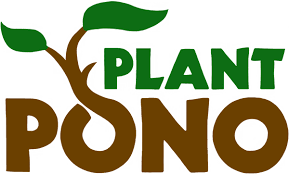 Image result for Carissa praetermissa