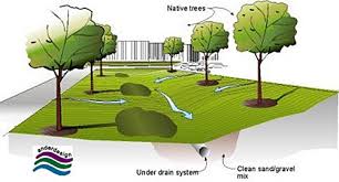 Drainage problems in your landscape must be solved before damage to the house foundation occurs and or water enters the house during heavy they had 3 other contractors during that time trying to solve the drainage problems. Low Impact Development Technologies Wbdg Whole Building Design Guide