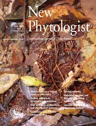 Effect Of Phytoliths For Mitigating Water Stress In Durum Wheat Meunier 2017 New Phytologist Wiley Online Library