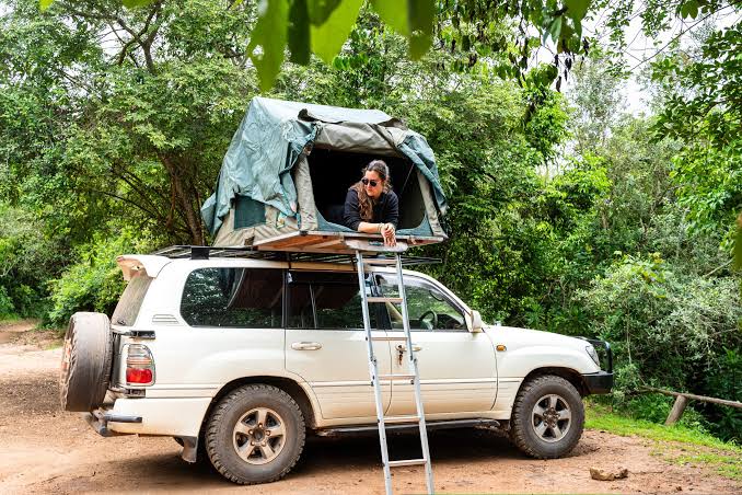 1 Day Akagera Safari with