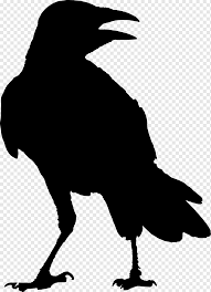 All paintings in this gallery have been sold. Common Raven G Whitcoe Entwirft Den Raben Odin Kultur Und Kunst Amerikanische Krahe Tiere Kunst Png Pngwing