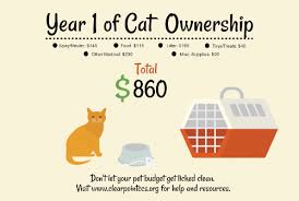According to carecredit.com, a routine vet exam costs $55, and you can keep if your cat needs emergency care, all bets are off when it comes to cost of care, especially if it swallows something it shouldn't have, such as plastic or. How To Find Low Cost Veterinary Care Clearpoint