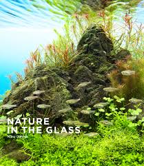 Maybe you would like to learn more about one of these? Distributors Top Ada Ada Nature Aquarium