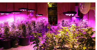 Led lights also tend to come with inbuilt fans, and so in the majority of cases, additional ventilation may not be. The 6 Best Led Grow Lights Of 2018