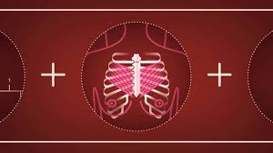 In general, stage 4 lung cancer is also treated with systemic drug therapies. Stage 3 Iii A B And C National Breast Cancer Foundation