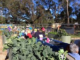 At the 2016 census, whittlesea had a population of 5,611. Whittlesea Community Garden Local Food Connect