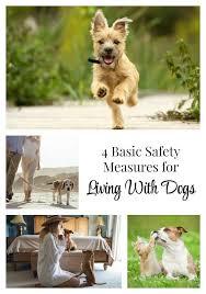 Pet peace of mind is already planning for #givingtuesday2020, which is december 1st. Today I M Sharing 4 Basic Safety Measures For Living With Dogs These Are Super Simple To Implement And Will Give You So Much Pe Dog Care Pets Living With Dogs