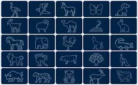 Jogo do Bicho - Da loteria do zoológico aos cassinos on-line regulamentados  do Brasil - ENV Media
