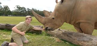 Top 10 Animal Attractions In Australia Holidays With Kids