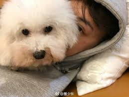 Không phải "Bánh bao" Triệu Lệ Dĩnh, đây mới là mỹ nhân nóng bỏng khiến  Trần Vỹ Đình say đắm?