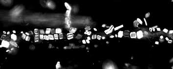 Image result for Eminia antennulifera