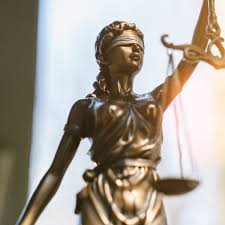 Image result for Justicia engleriana