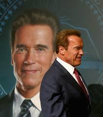 Becoming a Registered Professional Geologist and Doing Mineral Remoteness  Opinions