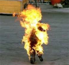 Man on fire and days of thunder. A Man On Fire Pictures From The Revolution The Fifth Wave