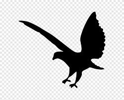 Eagle graphics by dg for freevector.com Bald Eagle Silhouette Eagle Head Animals Bald Eagle Png Pngegg