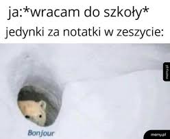 Przypomnijmy, że obostrzenia przedłużono do 18 kwietnia 2021 roku. Powrot Do Szkoly Memy Pl
