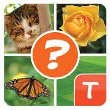 We did not find results for: 4 Pics Plus Level 8 Answers 4 Pics 1 Word Daily Puzzle Answers