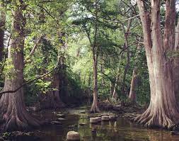 We did not find results for: Best Picnic Spots Around San Antonio