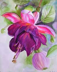 Pink Fushia Watercolour By Doris Joa Watercolor Flowers Flower Painting Floral Painting