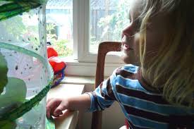 Make this fun and easy to make ladybug tiki squishy to squeeze. How To Make A Ladybug Habitat And Why Your Kids Need One Printable Sprouting Kindness