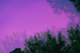 20.09.2020 · 32 itachi uchiha 4k wallpapers and background images wallpaper abyss. 750 Purple Aesthetic Pictures Download Free Images On Unsplash