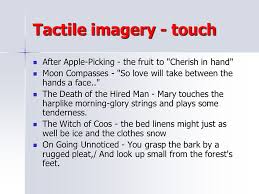Literary Terms Ppt Download