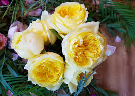 The site is also very easy to navigate and lets you filter by occasion, color, price, and more. Kampong Flowers Get Fresh Cut Roses Delivered To Your Home Honeycombers