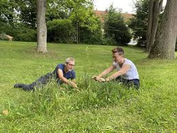 Botanischer Garten Linz Thema Auf Meinbezirk At