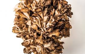 6 Ways To Cook Maitake Mushrooms Stuffed Mushrooms Maitake Mushroom Hen Of The Woods Recipe