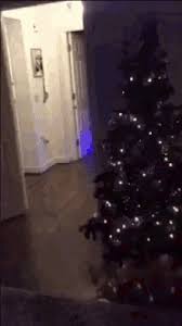Check spelling or type a new query. Christmas Fail Gifs Tenor