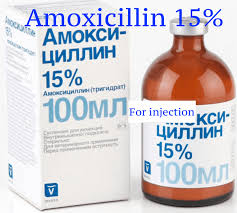 Logo computer icons, instagram logo png. Amoxicillin 15 Antibiotics For Injection Online Veterinary Pharmacy