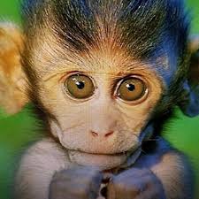 From Liv Morgan's Instagram Story. Love her or hate her you gotta give her  respect 🫡 WWEThreads