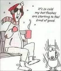 A minneapolis couple decided to go to florida to thaw out during a particularly icy winter. Winter Cold Funny Quotes Quotesgram