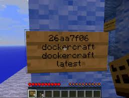 In summary it will be the following to install docker: Docker Turns To Minecraft We Have Gone Ultra Meta Networking