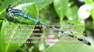 Di sini banyak contoh kata bijak dalam bahasa inggris dan artinya yang singkat tapi keren. Kata Cinta Bahasa Inggris Beserta Arti Nya Katakan Cintamu