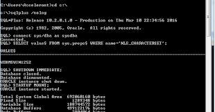 Informatica,Obiee,Oracle Blog: How To Find And Change The Character Set Of  The Oracle Database