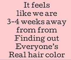 Pin On Funny Jokes Quotes Memes