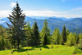 Es gibt viele möglichkeiten, deine einrichtung mit unseren schönen postern und kunstdrucken aufleben zu lassen. Bilder Goldeck Panoramastrasse Osterreich Franks Travelbox