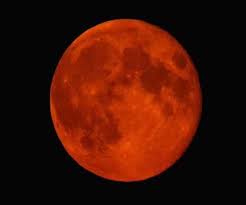 It will be visible in areas of southeast asia, all of australia, all of oceania, most of alaska and canada, most of the usa, all of hawaii, all of mexico and central america. Lunar Eclipse 2021 Here S A List Of Dos And Don Ts People Should Follow During Chandra Grahan