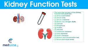 Kidney Function Tests And Interpretation Of Results Youtube